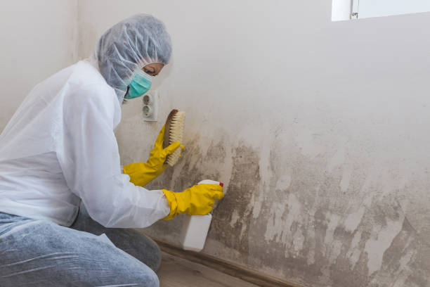 Water Damage Restoration in Hamilton, GA