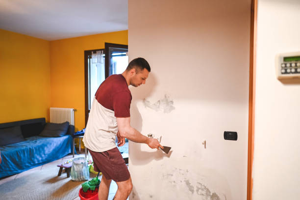 Mold Removal and Inspection in Hamilton, GA